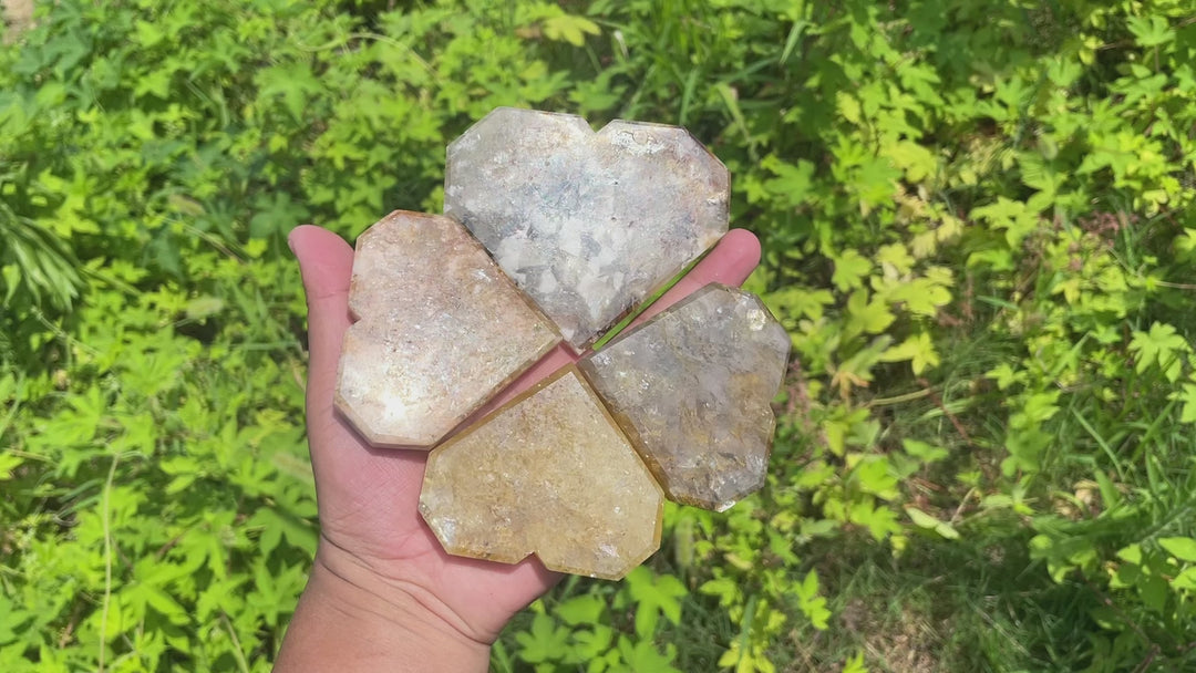 Natural Crystal Warm Phlogopite With Hematite Heart