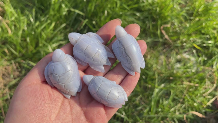 Natural Carving Blue Agate Turtle