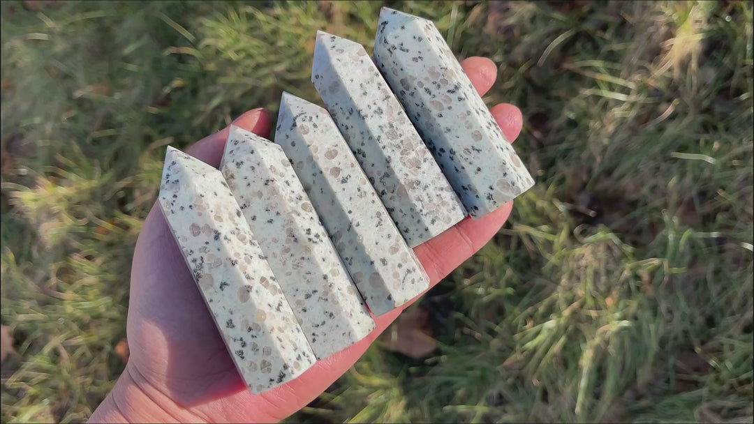 Natural Kiwi Jasper Point