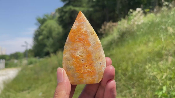 Natural Crystal Bumble Bee Jasper Teardrop