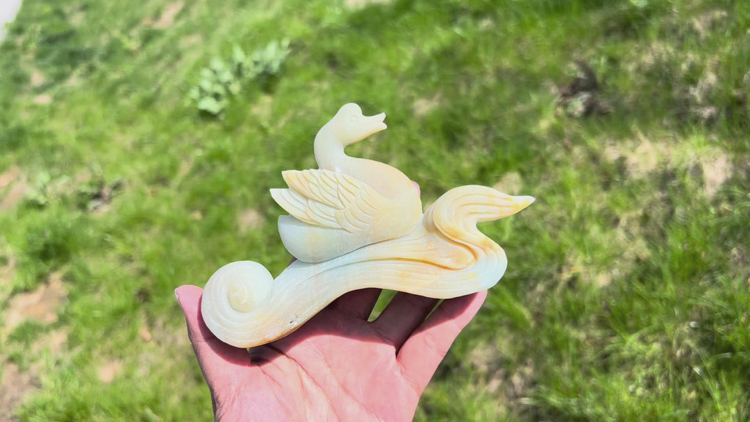 Unique,Natural Blue Quartzite Swan Carving