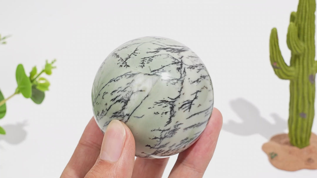 Natural Serene Green Dendritic Calcite Crystal Sphere