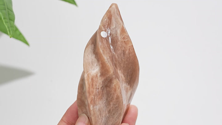 Unique,Imperfect Natural Crystal Peach Moonstone Flame Torch