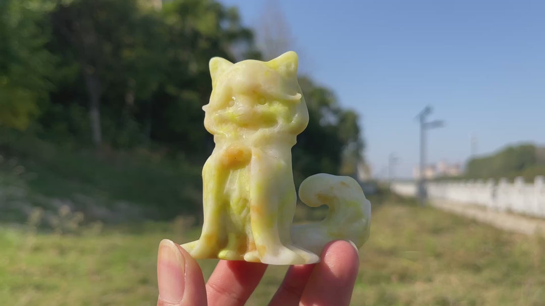 Natural Crystal Carving Cute Cloaked Curly Tail Cat