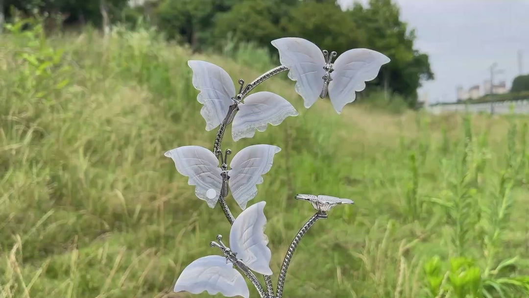 A Slightly Imperfect Natural Crystal Blue Lace Agate Butterfly Sphere Stand