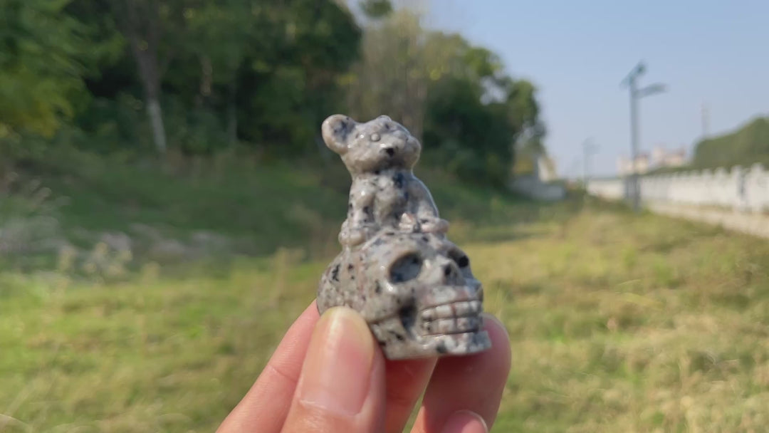 Natural Crystal Carving French Bulldog On Skull