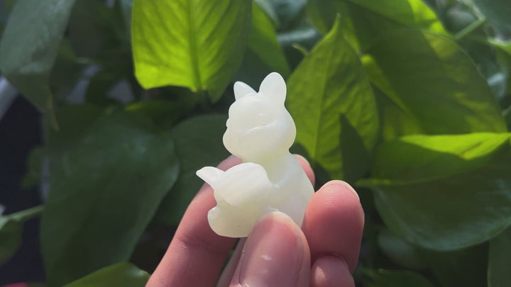 Natural Crystal Carving Afghanistan Jade Reading Rabbit