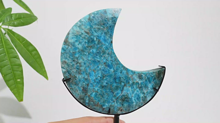 Unique,Natural Crystal Blue Apatite Moon With Stand