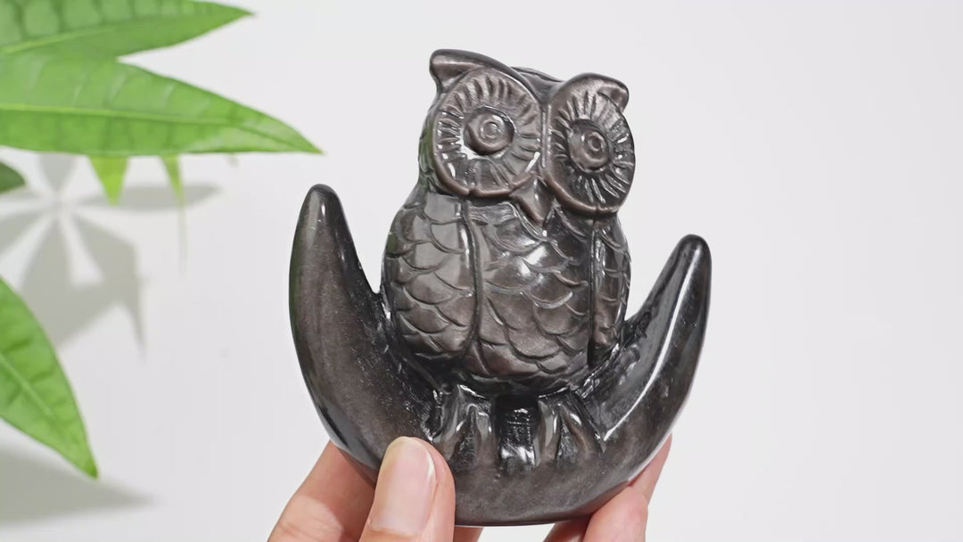 Unique,Natural Crystal Silver Obsidian Cute Moon Owl Carving
