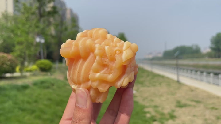 Natural Yellow Calcite Dragon Turtle Carving