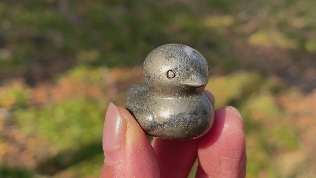 Pyrite Duck