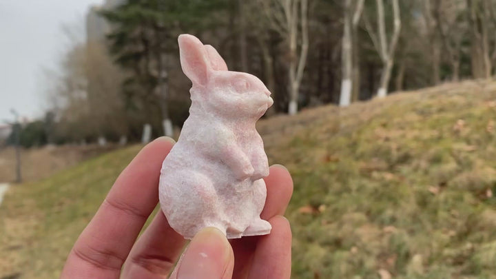 Natural Crystal Carving Cute Rabbit
