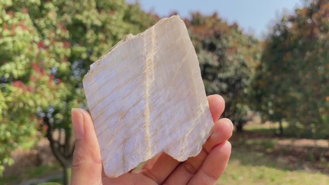 Natural Moonstone Slices