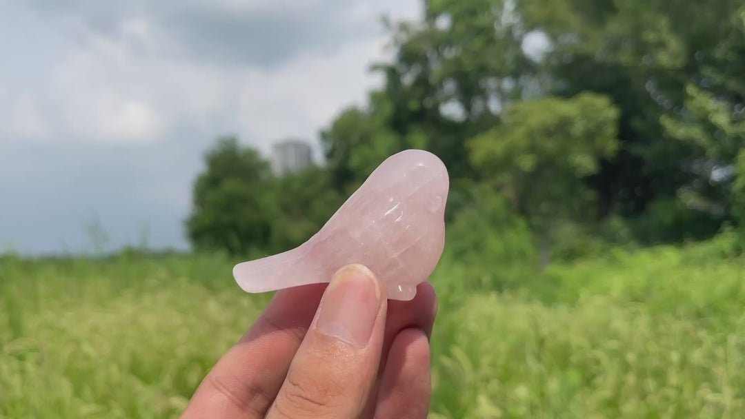 Natural Crystal Carving Cute Rose Quartz Bird