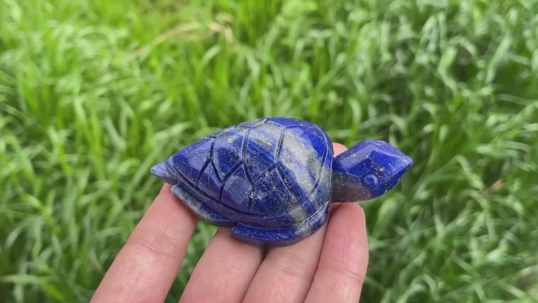 Natural Lapis Lazuli Turtle Carving