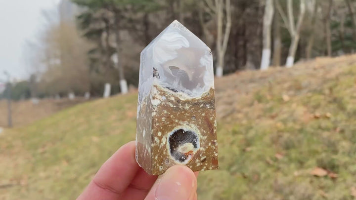 Natural Mexican Agate Geode Point