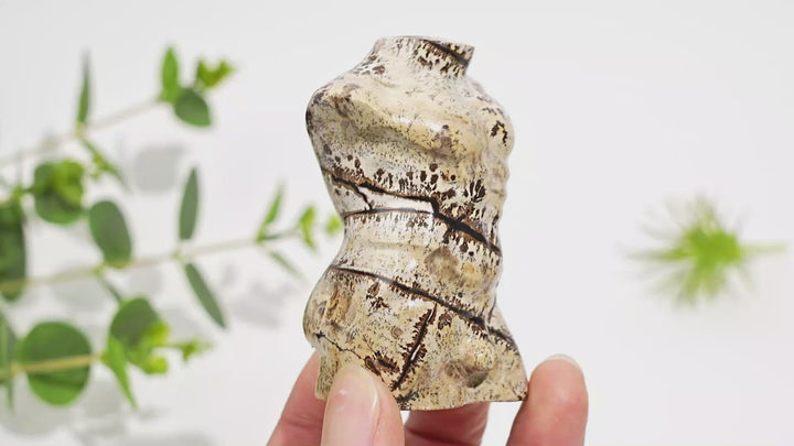 Natural Crystal Picture Jasper Male Torso