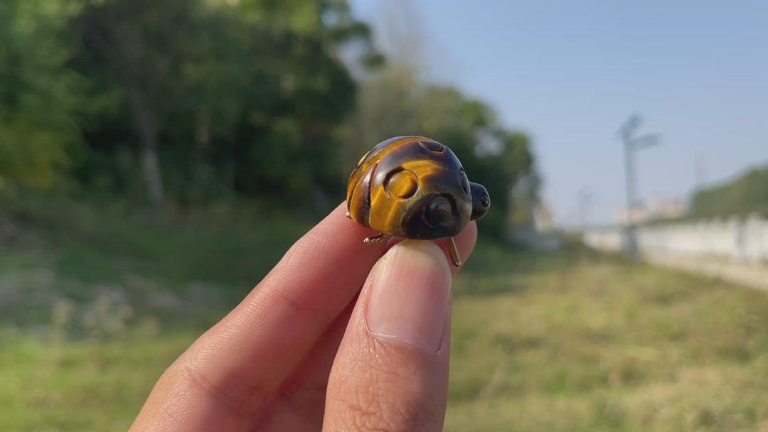 Natural Crystal Carving Ladybug
