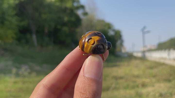 Natural Crystal Carving Ladybug