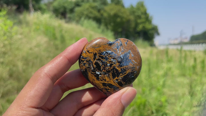 Natural Crystal Pietersite Heart
