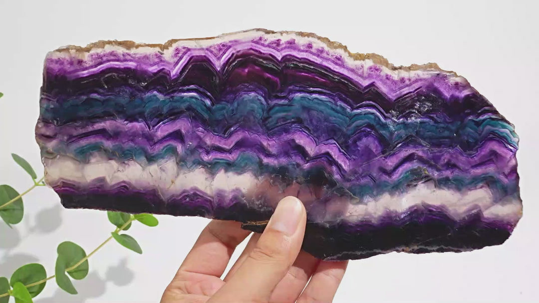 Unique,Natural Crystal Stunning Fluorite Slice