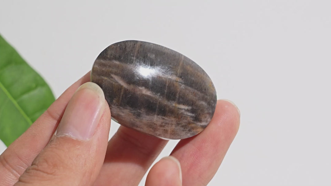 Natural Crystal Black Moonstone With Sunstone Palm Stone