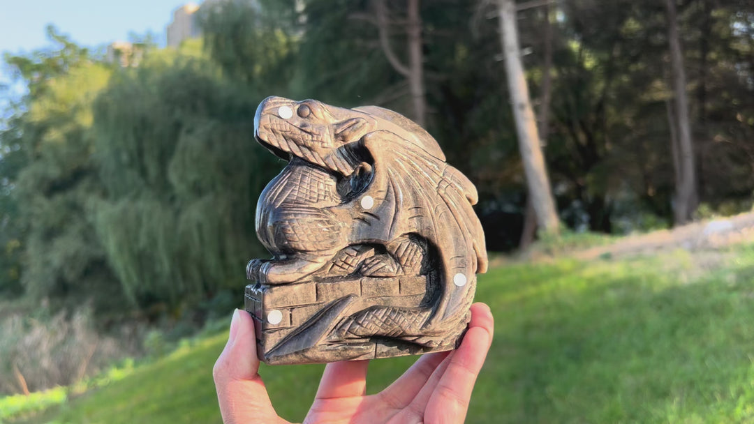 Unique Silver Obsidian Dragon Carving