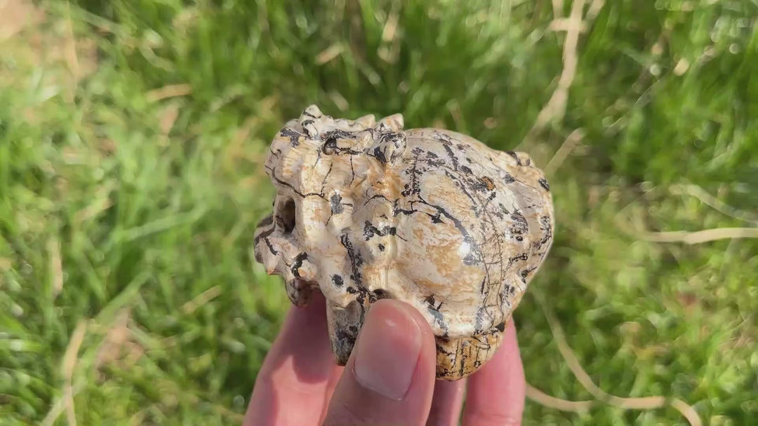 Natural Crystal Picture Jasper Dragon Turtle