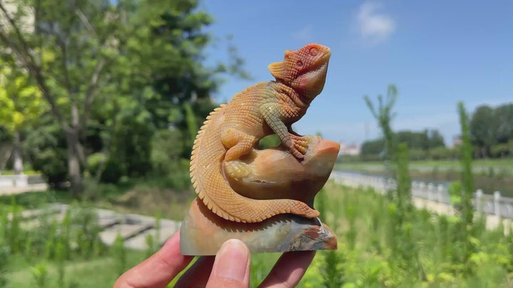 Unique,Natural Crystal Blue Quartzite Lizard Carving