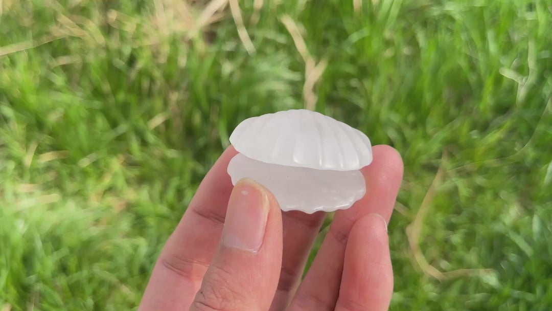 Natural Carved Crystal Shells