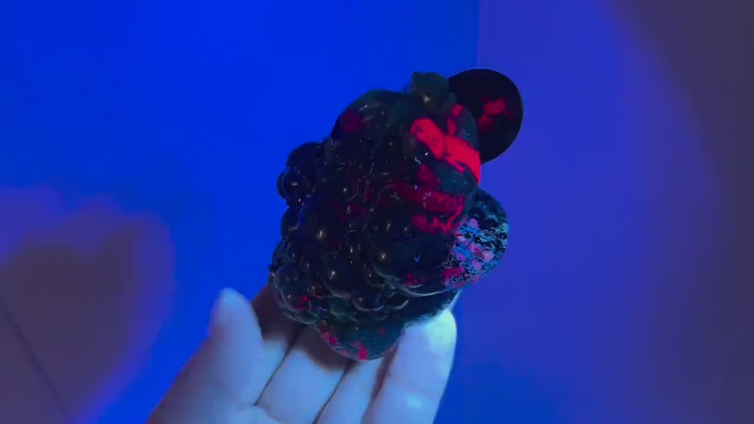 Natural Ruby in Zoisite Money Toad