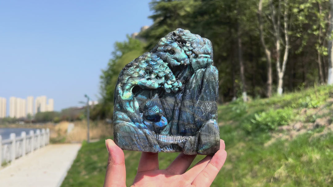 Unique,A Slightly Imperfect Labradorite Pine Tree Carving