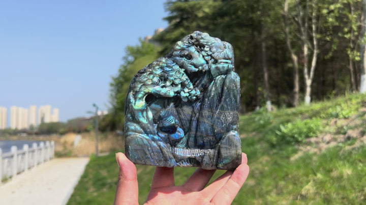 Unique,A Slightly Imperfect Labradorite Pine Tree Carving