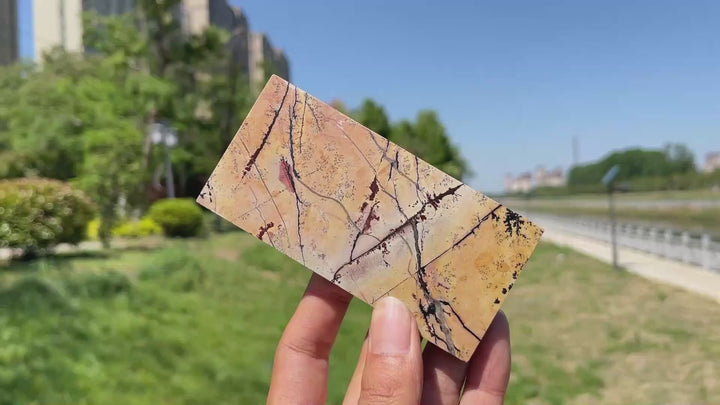 Natural Crystal Picture Jasper Slice