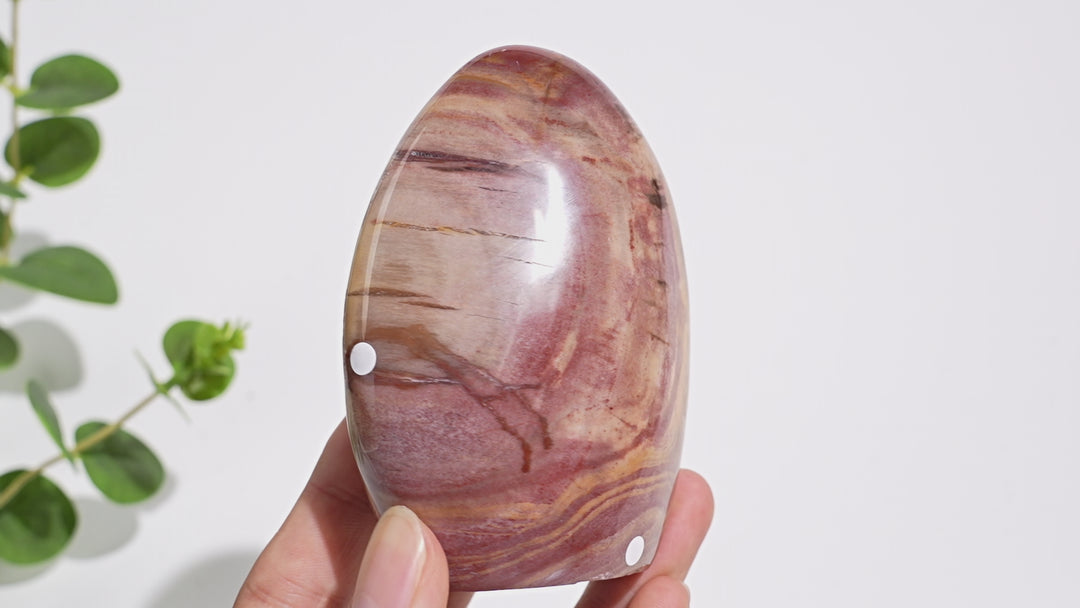 Unique,A Slightly Imperfect Natural Crystal Petrified Wood Ornament