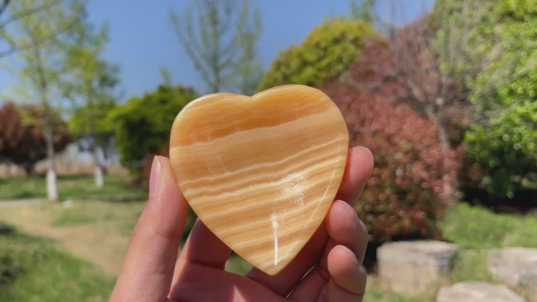 Natural Yellow Calcite Multi-Shape Bowls