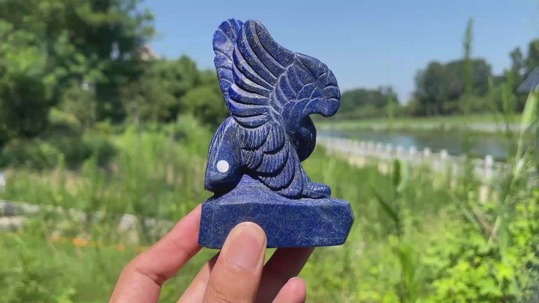 Unique,A Slightly Imperfect Natural Sourced Lapis Lazuli Eagle Carving