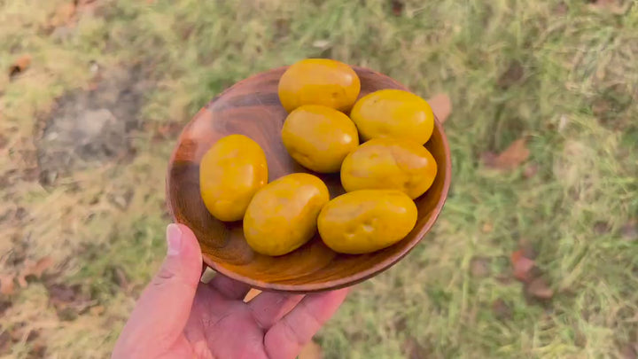 Natural Carved Yellow Aventurine Potato