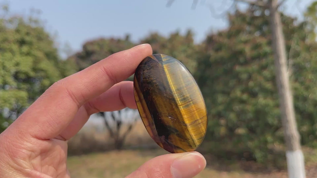 Natural Crystal Blue and Yellow Tiger's Eye Palm Stone