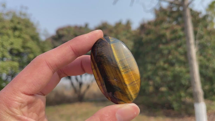 Natural Crystal Blue and Yellow Tiger's Eye Palm Stone