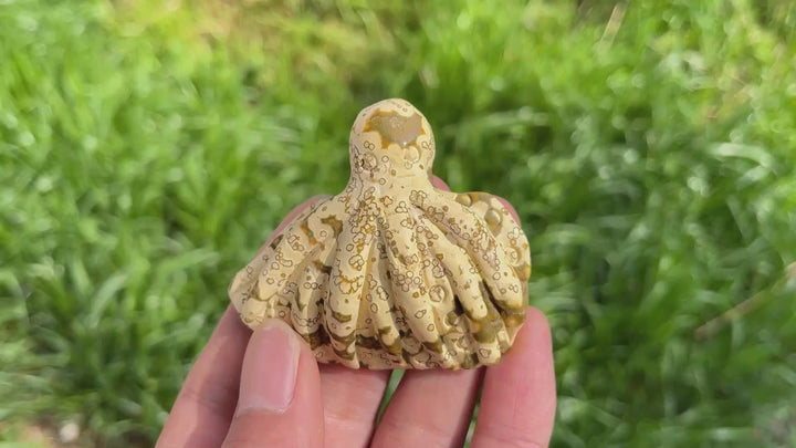 Natural Crystal Ocean Jasper Sea Life Carvings