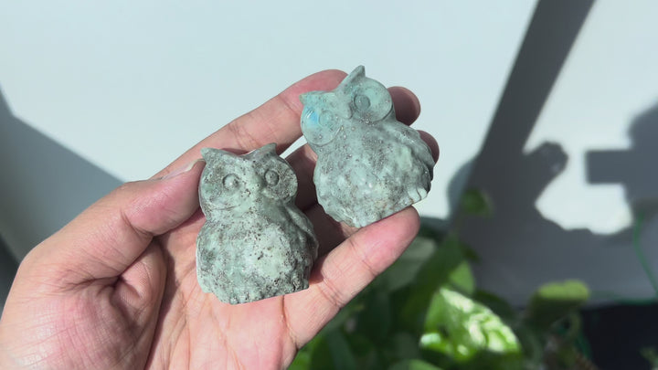 Green Sodalite With Pyrite Owl
