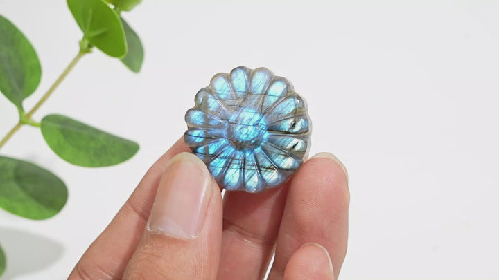 Natural Crystal Carving Labradorite Daisy