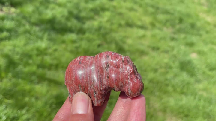 Natural Crystal Red Aventurine Hippo Carving