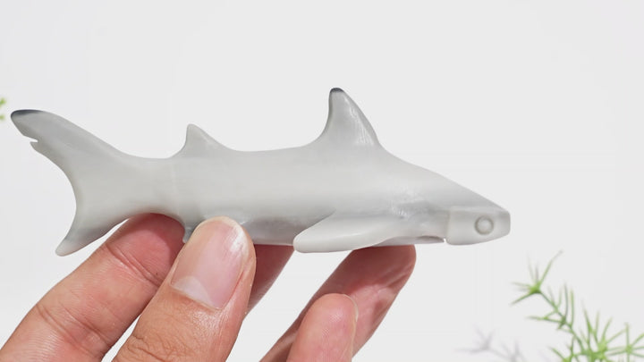 Natural Crystal Taiji Stone Hammerhead Shark Carving