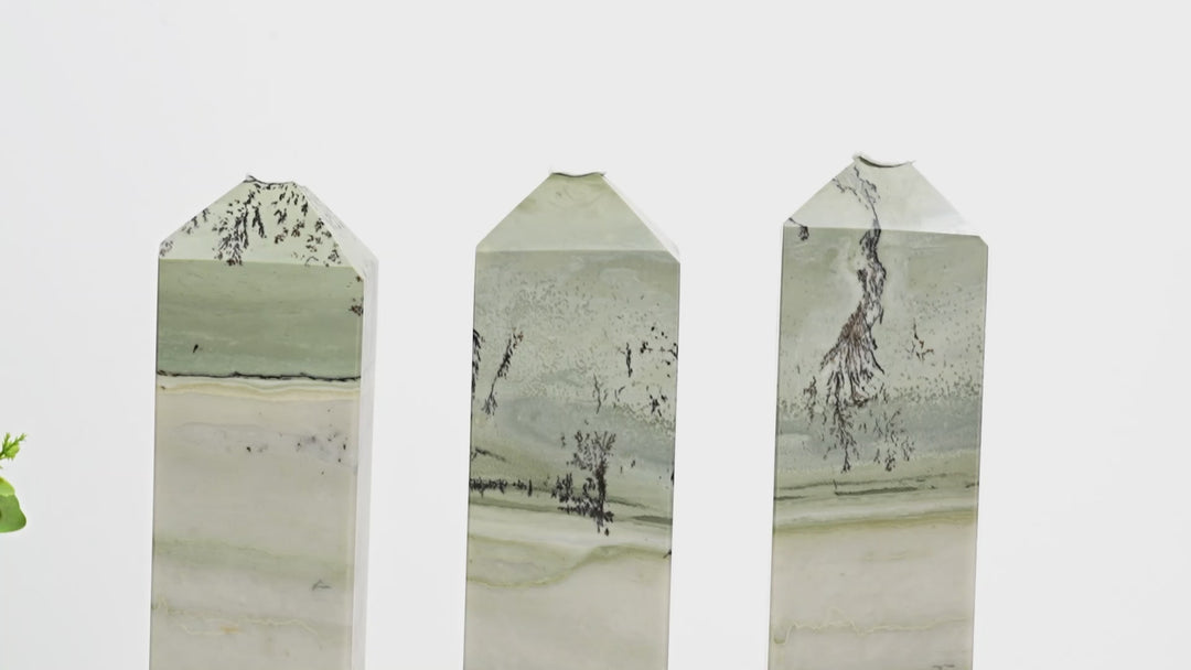 Unique,Natural Green Dendritic Calcite Point