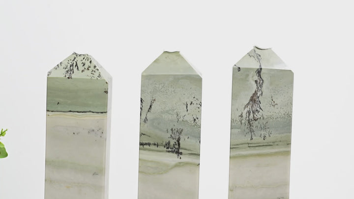 Unique,Natural Green Dendritic Calcite Point