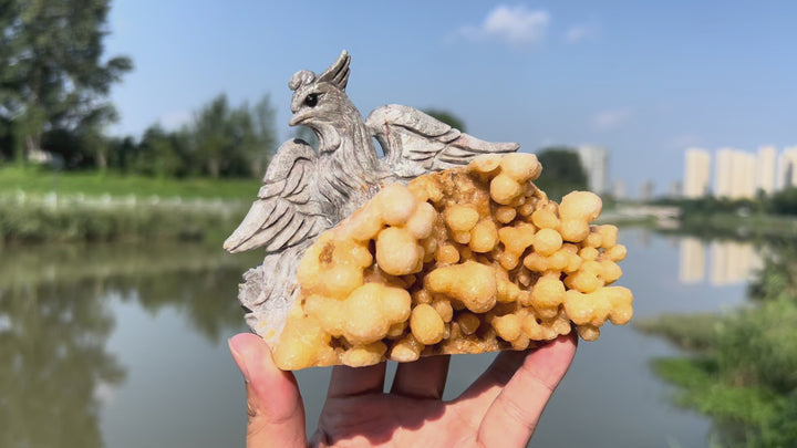 Natural Calcite Phoenix with Stalactite Formatio