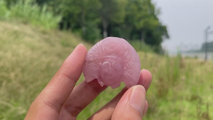 Natural Cute Crystal Scarab Carving