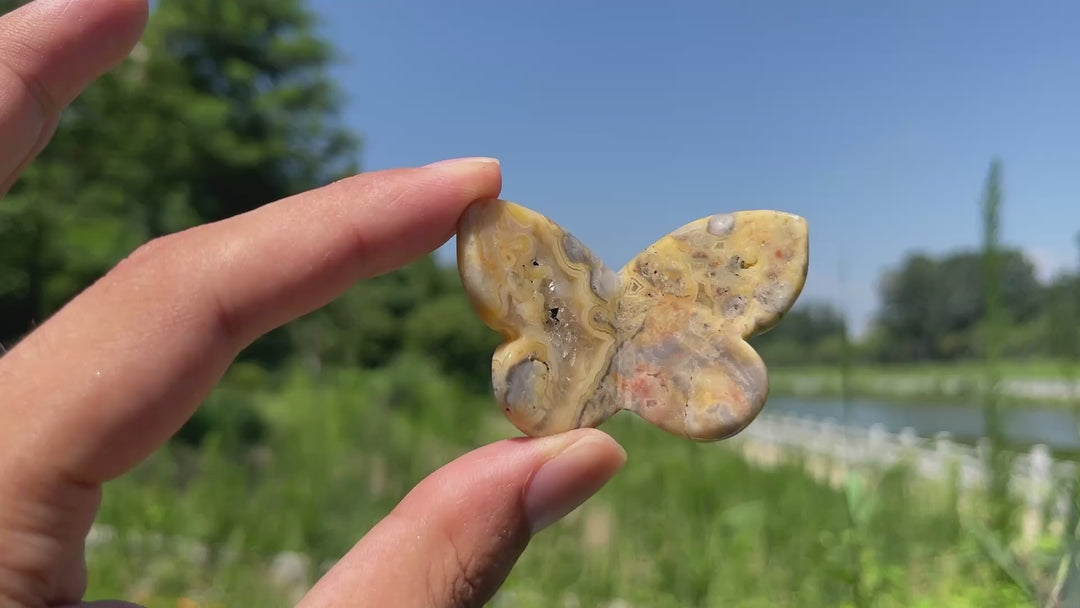 Natural Crystal Carved Stereoscopic Butterfly